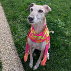 The Feral Scarf