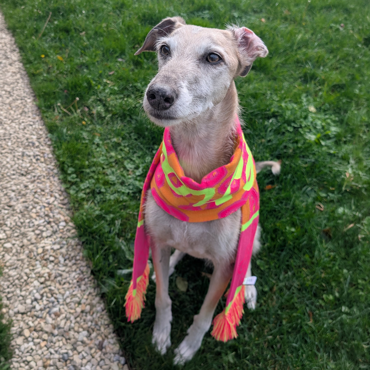 The Feral Scarf