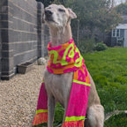 The Feral Scarf