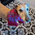 Dog wearing a colorful scarf on a black and white patterned floor